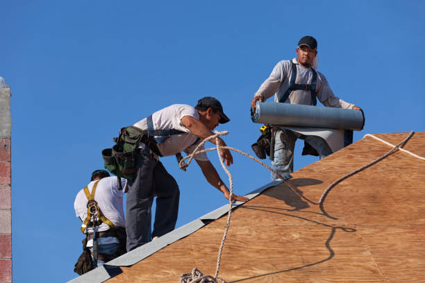 Best Commercial Roofing Services  in Brazil, IN